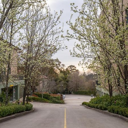 Leisure Inn Spires Leura Esterno foto